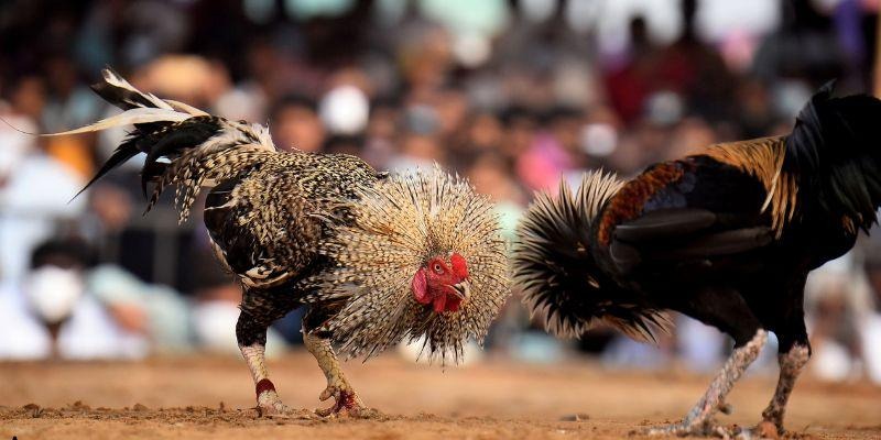 Hệ thống giám sát nghiêm ngặt bảo đảm công bằng tuyệt đối